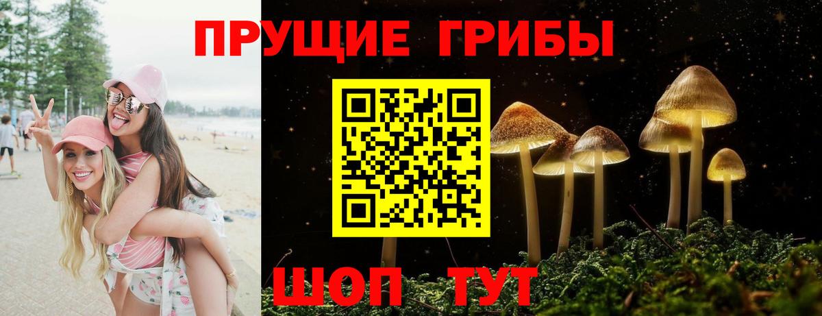 Псилоцибиновые грибы Cubensis Благодарный